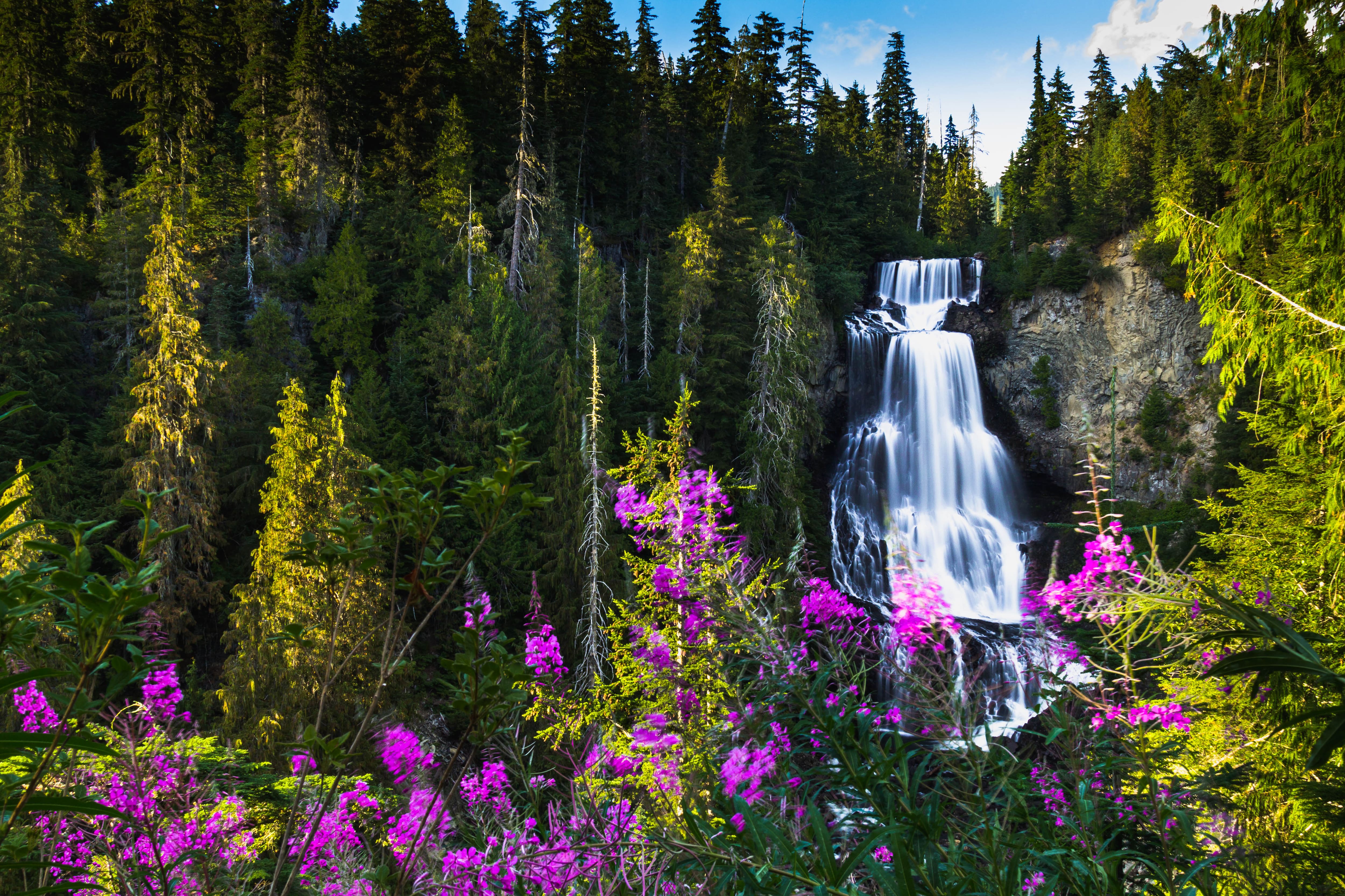whistler: even more beautiful destination